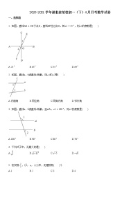 2020-2021学年湖北省武汉市某校初一（下）4月月考数学试卷