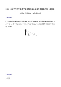 专题11 利用相似三角形解决问题 -2021-2022学年九年级数学下册期末综合复习专题提优训练（苏科版）