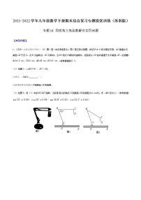 专题14 用锐角三角函数解决实际问题-2021-2022学年九年级数学下册期末综合复习专题提优训练（苏科版）