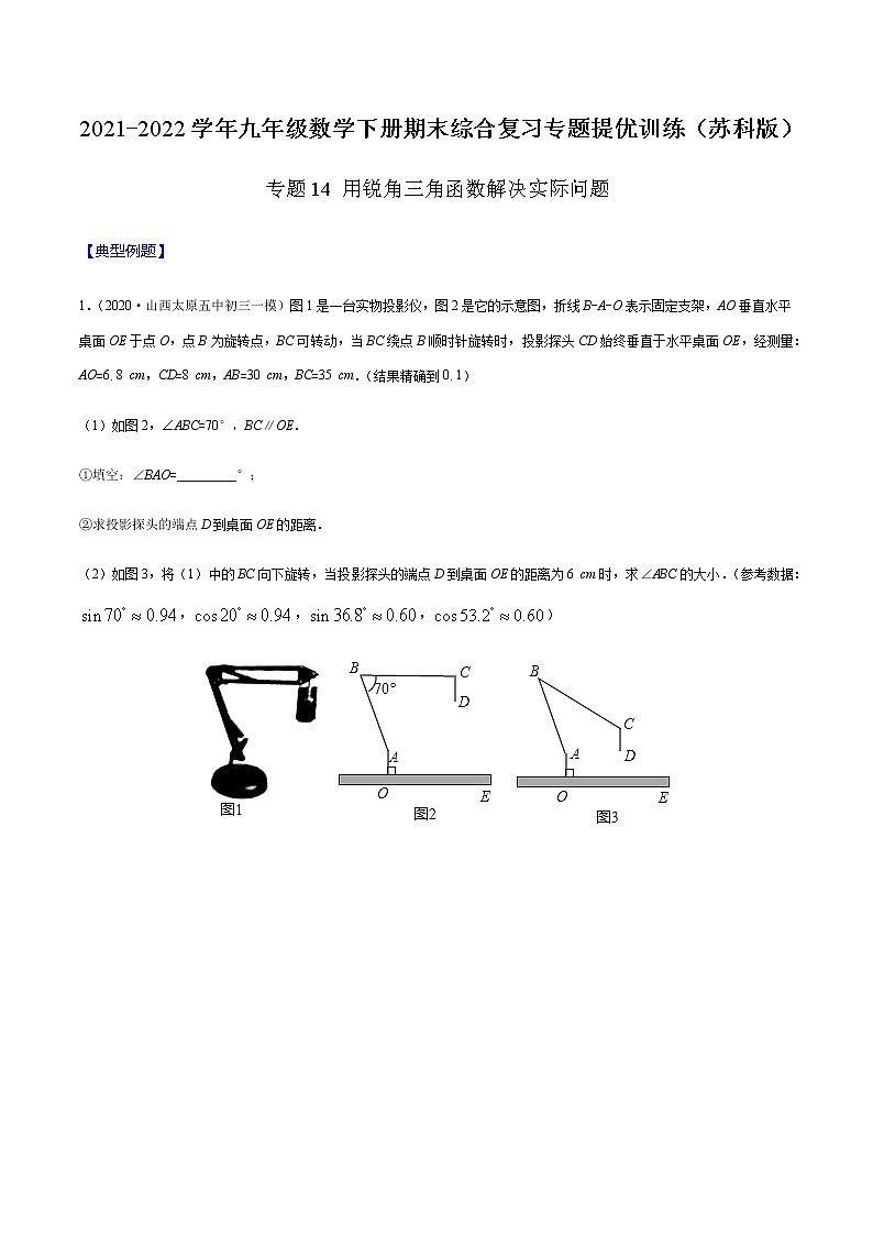 专题14 用锐角三角函数解决实际问题-2021-2022学年九年级数学下册期末综合复习专题提优训练（苏科版）01
