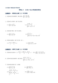 专题07 二元一次方程组的解法-2021-2022学年七年级数学下册解法技巧思维培优（人教版）