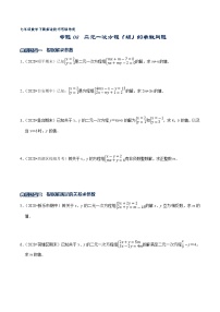 专题08 二元一次方程（组）的参数问题-2021-2022学年七年级数学下册解法技巧思维培优（人教版）