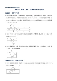 专题02 翻折、直尺、三角板中的平行问题-2021-2022学年七年级数学下册解法技巧思维培优（人教版）