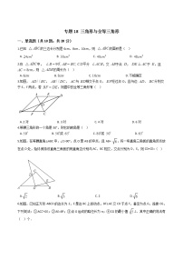 专题18 三角形与全等三角形试卷