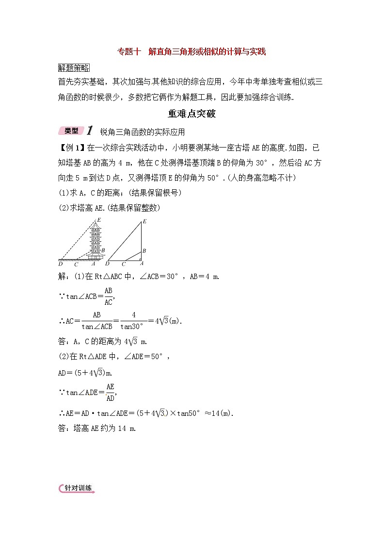 （通用版）中考数学二轮专题复习专题10《解直角三角形或相似的计算与实践》精讲精练（教师版）第1页