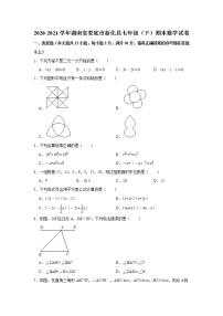 2021年湖南省娄底市新化县七年级下学期期末数学试卷（含答案）