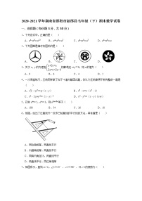 2021年湖南省邵阳市新邵县七年级下学期期末考试数学试题（含答案）