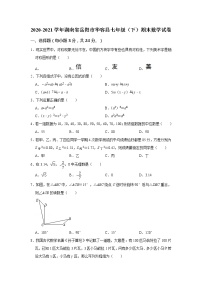 2021年湖南省岳阳市华容县七年级下学期期末数学试卷（含答案）