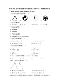2021年湖南省株洲市醴陵市七年级下学期期末数学试卷（含答案）