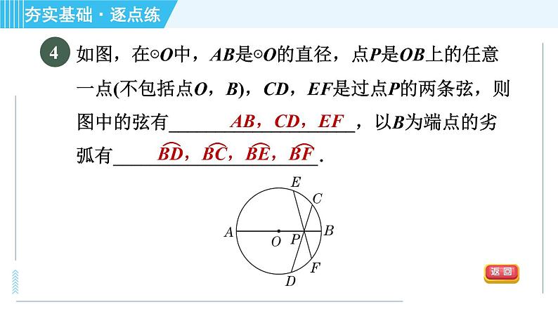 苏科版九年级上册数学 第2章 2.1.2 与圆有关的概念 习题课件07