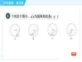 蘇科版九年級上冊數(shù)學 第2章 2.4.1 圓周角的概念與圓周角定理 習題課件