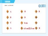 苏科版九年级上册数学 第2章 2.1.1 圆的认识 习题课件