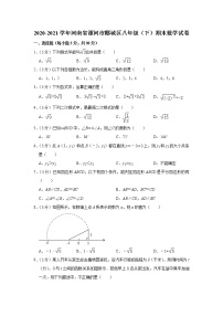 2021年河南省漯河市郾城区八年级（下）期末数学试卷（含答案）