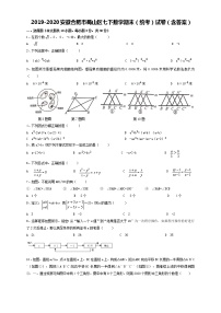 2020年安徽省合肥市蜀山区七年级下期末（统考）数学试卷+答案