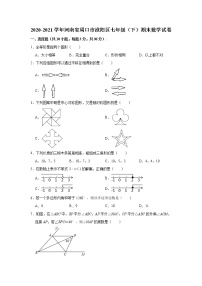 2021年河南省周口市淮阳区七年级下学期期末考试数学试题+答案