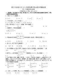 2021年福建省晋江市安海片区七年级下学期期中数学试卷+答案