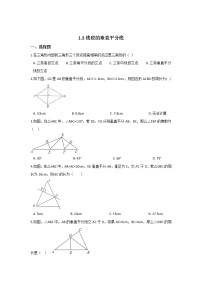 北师大版八年级下册3 线段的垂直平分线课时练习