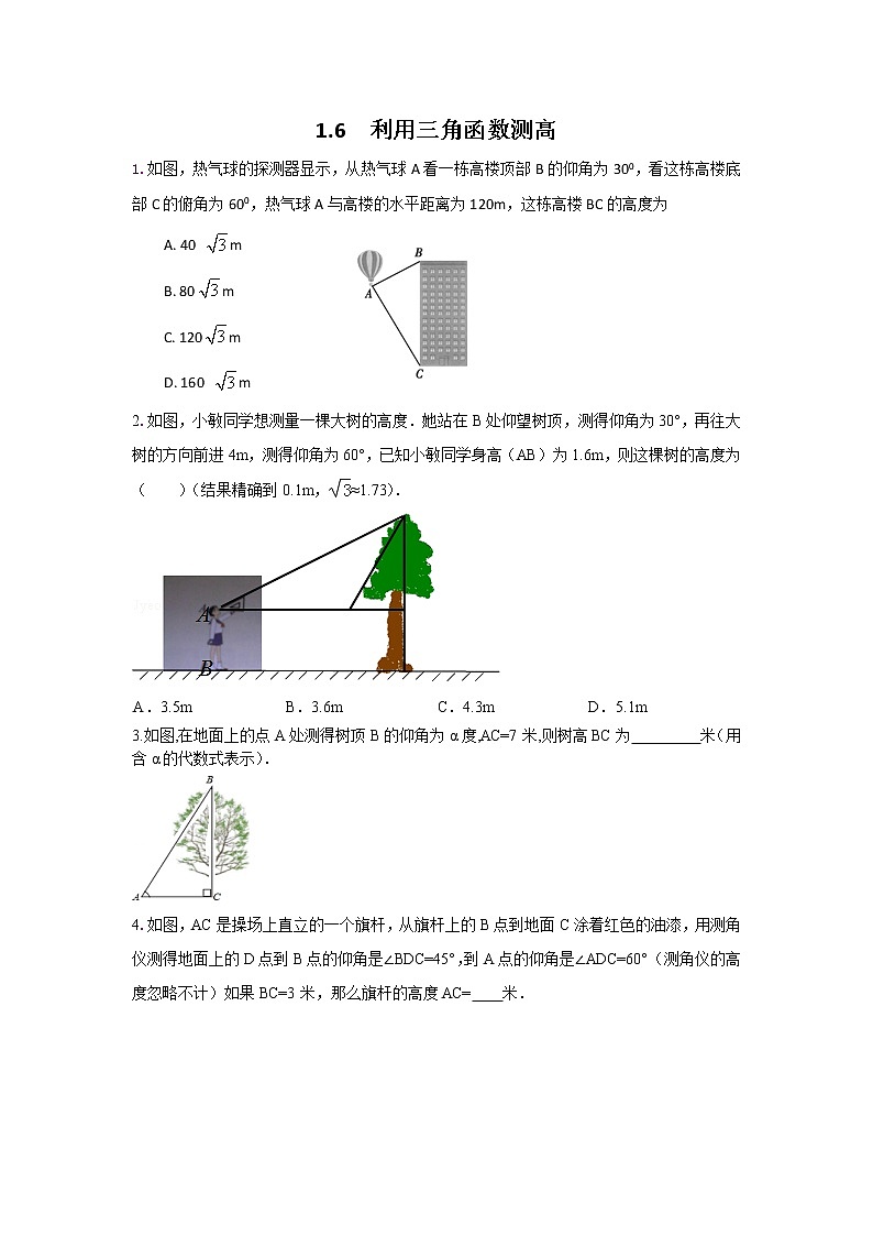 北师大九下数学 1.6 利用三角函数测高（无答案）01