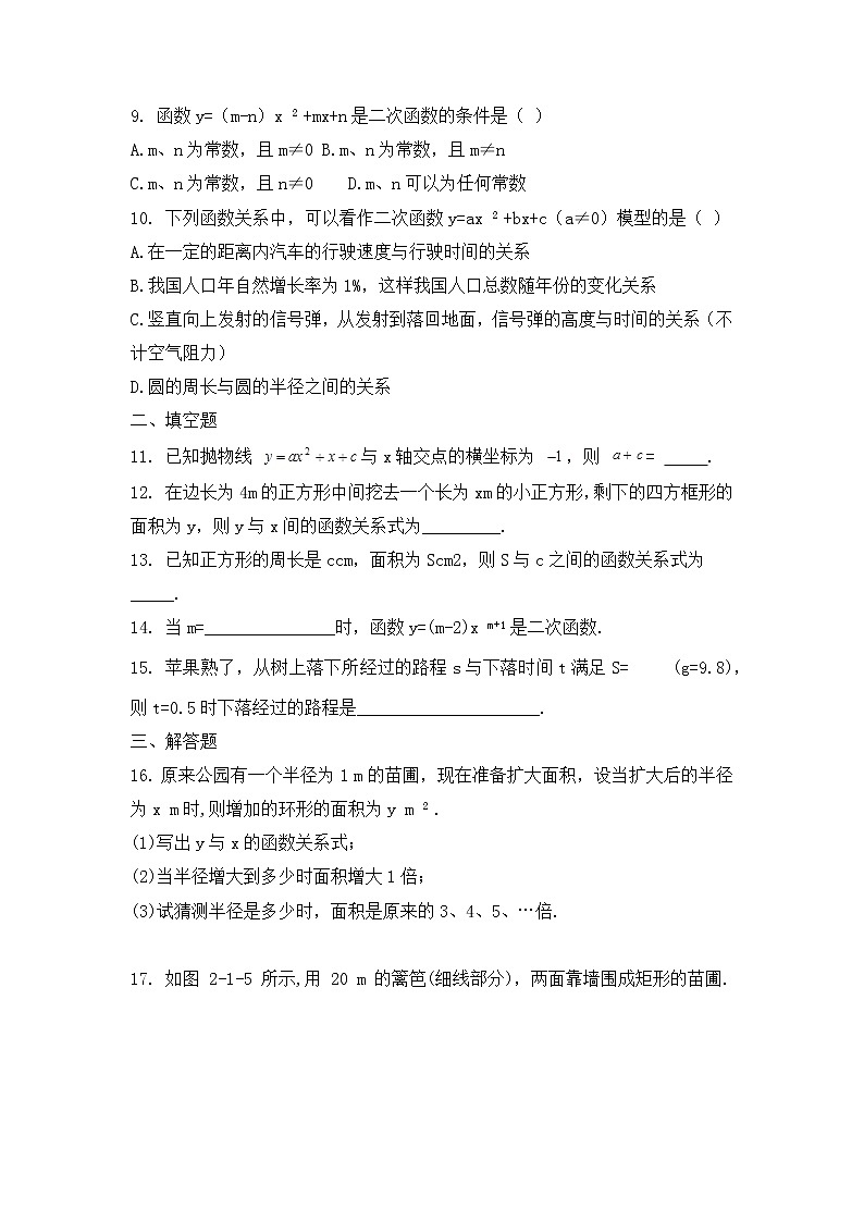 北师大九下数学 第二章 二次函数周周测2（2.1）第2页