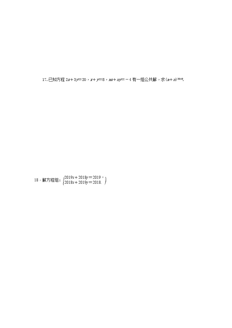 6.2 二元一次方程组的解法（3）（课件+教学设计+练习+学案）03