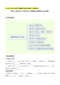 专题1.2相交线与平行线专题（知识梳理+典例剖析+变式训练）-2021-2022学年七年级数学下学期期末考试高分直通车【北师大版】