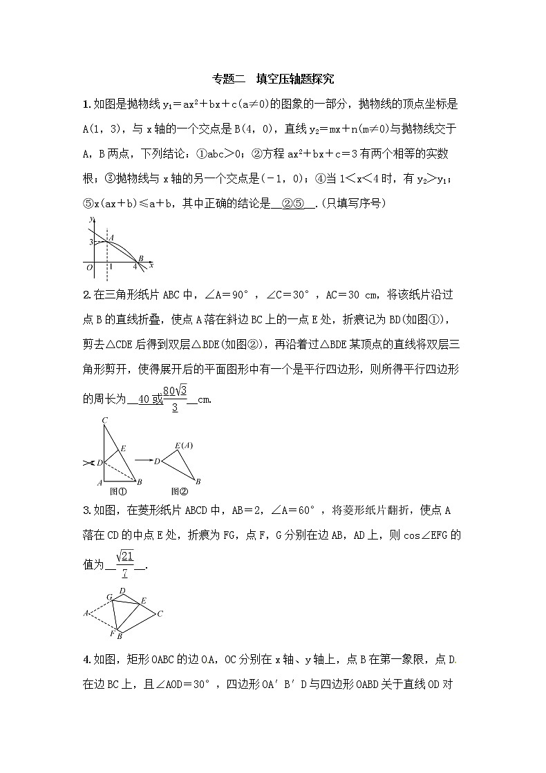 (通用版)中考数学总复习专题2《填空压轴题探究》精练卷（教师版）第1页