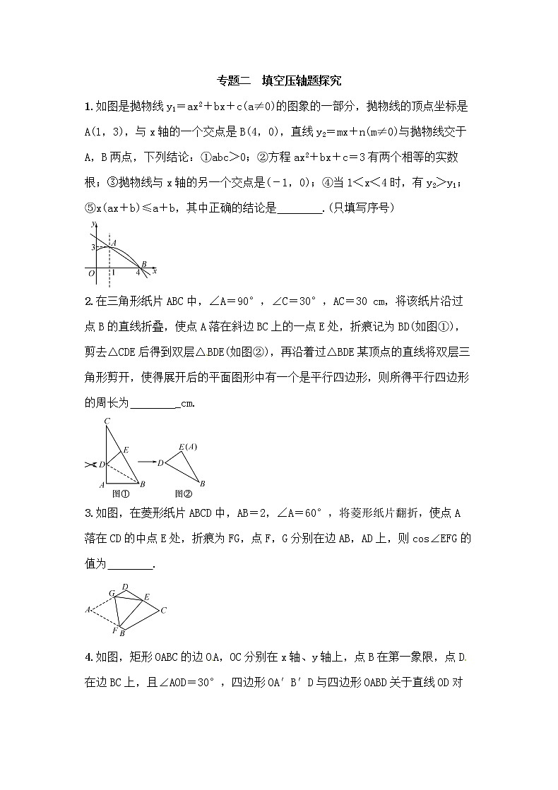 (通用版)中考数学总复习专题2《填空压轴题探究》精练卷（原卷版）第1页