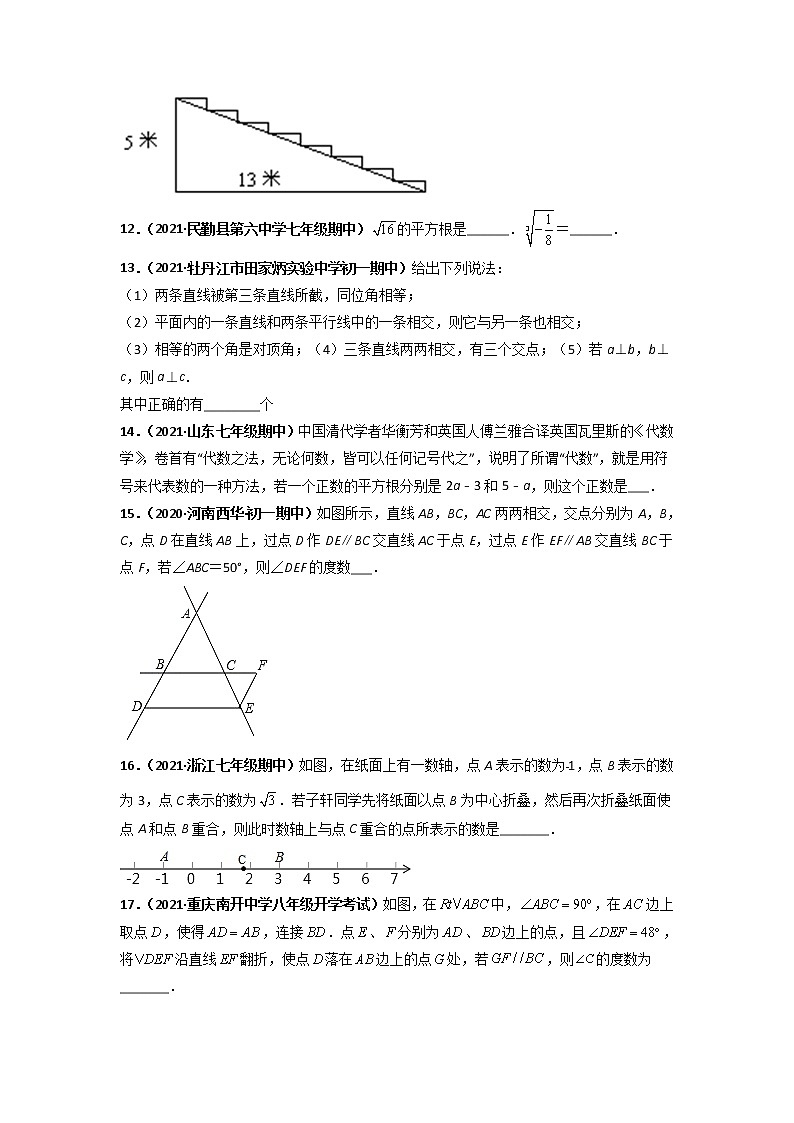 第一次月考押题卷（测试范围：第五-六章）（原卷版）第3页