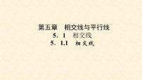 人教版七年级下册第五章 相交线与平行线5.1 相交线5.1.1 相交线练习题课件ppt