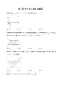 初中数学3 平行线的性质同步练习题