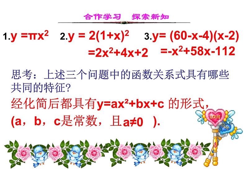 湘教版数学九年级下册第一章《二次函数》1.1   二次函数课件PPT第5页