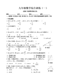 北师大版九年级下册第一章 直角三角形的边角关系综合与测试测试题