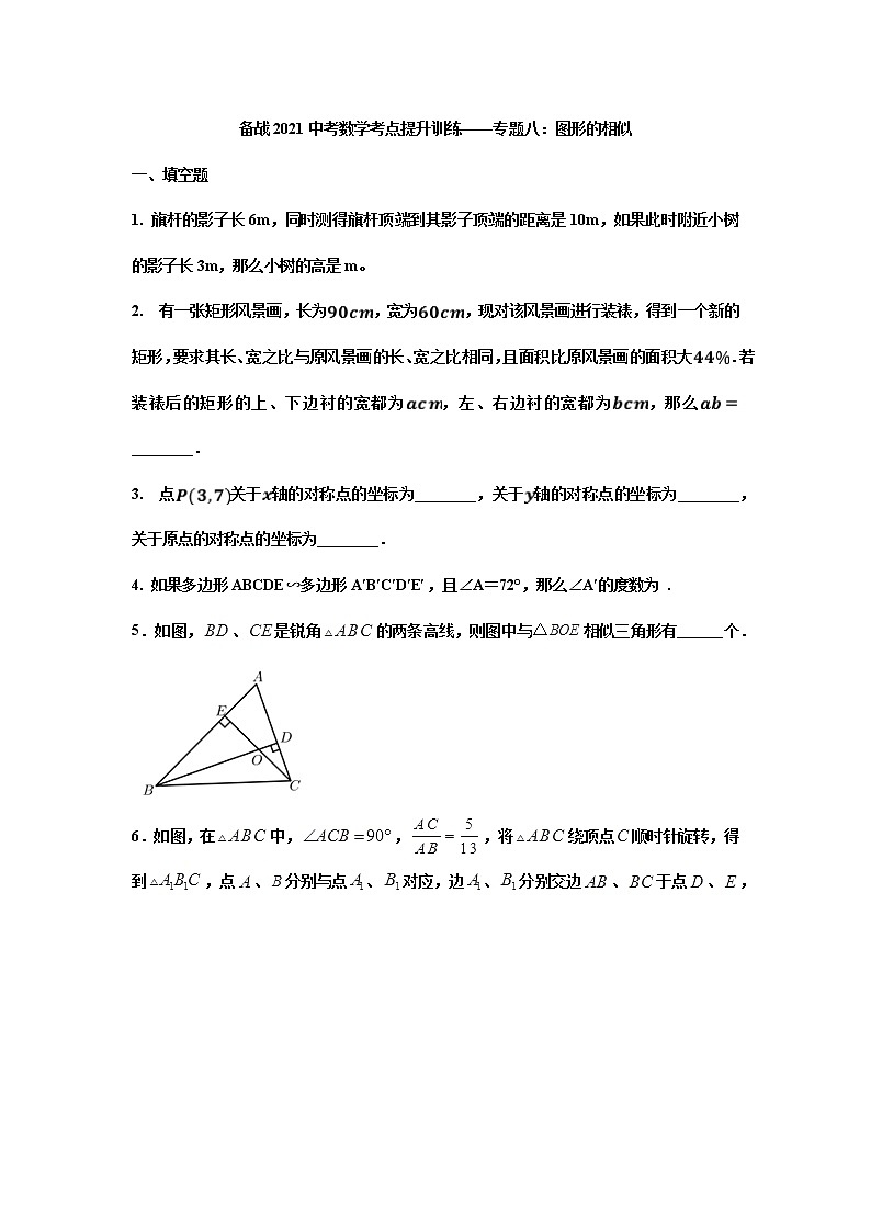 2021中考数学考点提升训练——专题八：图形的相似第1页