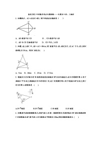 2021年九年级中考数学考点专题训练——专题五十四：三角形