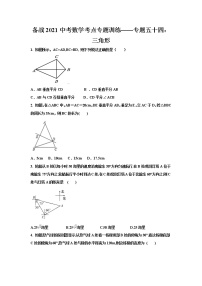 2021年九年级中考数学考点专题训练——专题五十四：三角形(无答案)