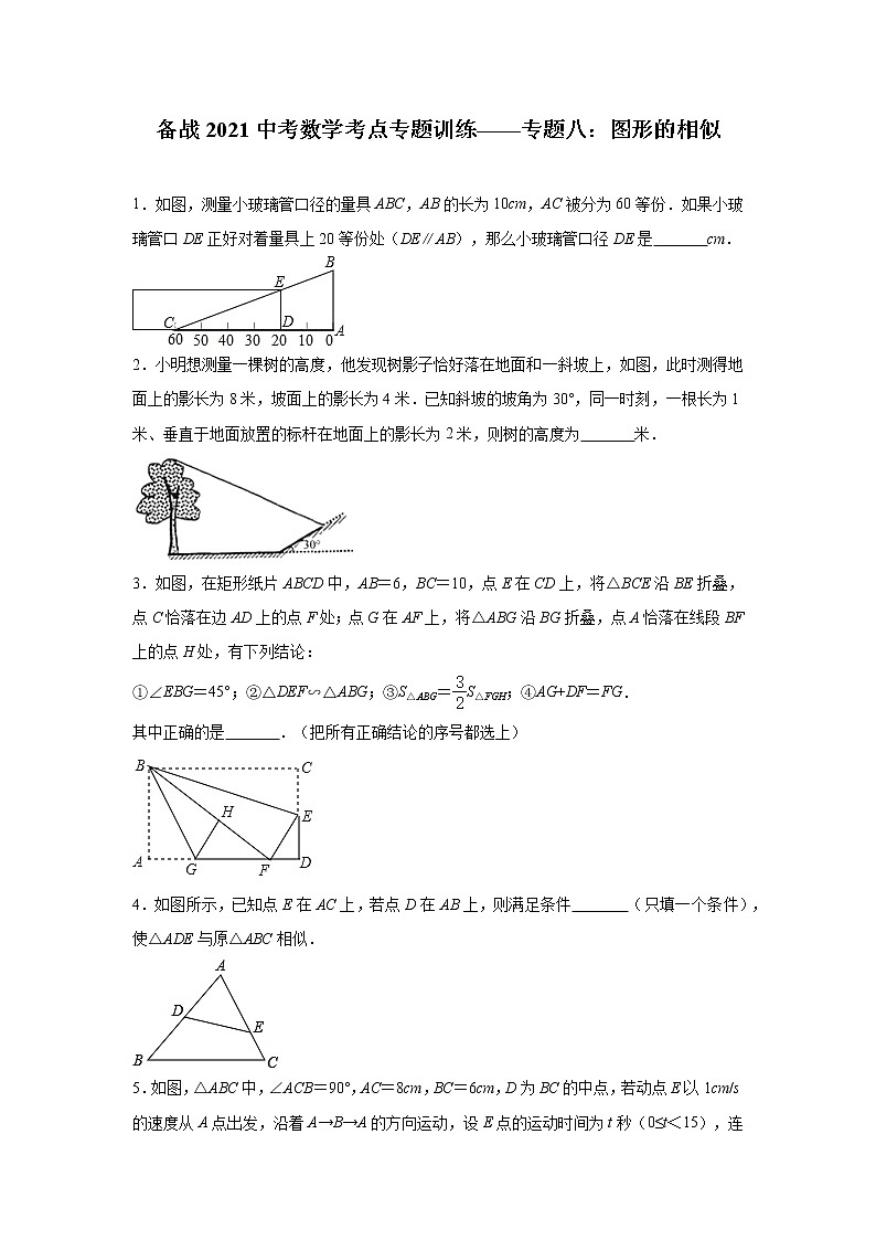 2021中考数学考点专题训练——专题八：图形的相似(含答案)第1页