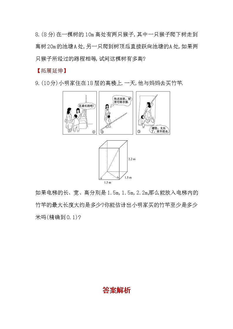 八年级数学下册知识点汇聚测试卷：勾股定理深入测试（含详解）第3页