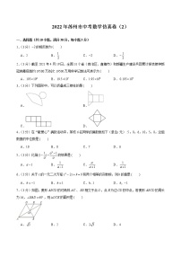 2022年江苏省苏州市中考数学仿真卷（2）（word版含答案）