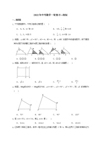 2022年中考数学一轮复习---相似