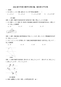 2022届中考复习数学分类汇编：相交线与平行线(解析版)