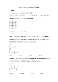 2022年中考数学考点提高复习——勾股定理（无答案）