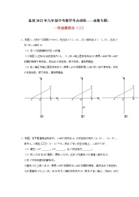 2022年九年级中考数学考点训练——函数专题：一次函数综合(三)及答案