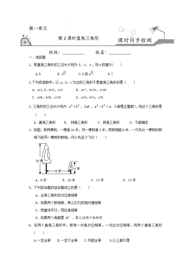 1.2 直角三角形（原卷版）第1页