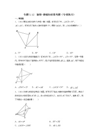 专题3.12 旋转-基础知识常考题（专项练习）-2021-2022学年八年级数学下册基础知识专项讲练（北师大版）