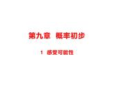 9.1 感受可能性  课件（共15张PPT）