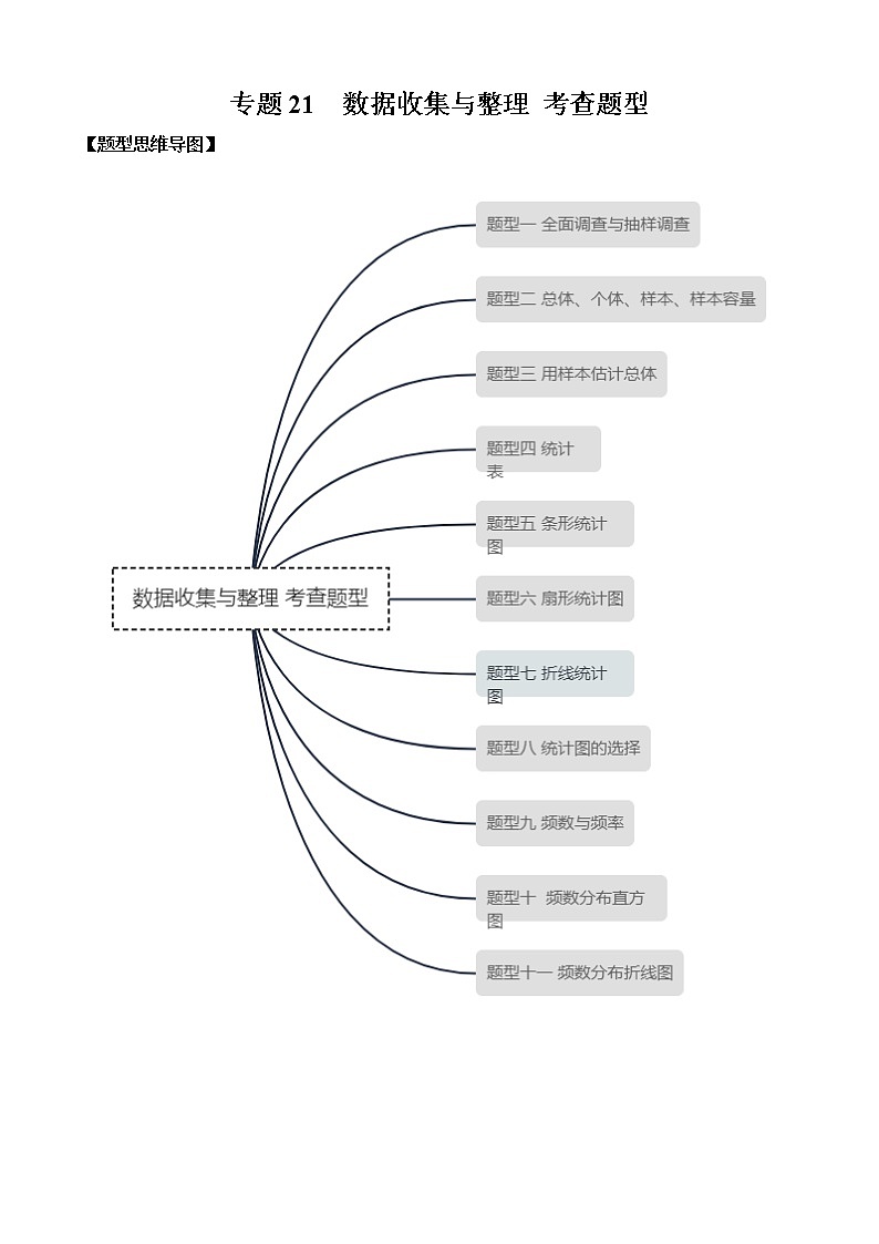 专题21  数据收集与整理 考查题型原卷版第1页
