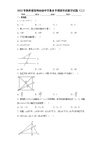 2022年陕西省宝鸡市初中学业水平模拟考试数学试题（二）(word版含答案)