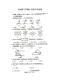 浙教版七年级下学期3月份月考数学试卷