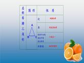 北师大版八年级数学下册 1.1 等腰三角形与等边三角形的性质（课件）