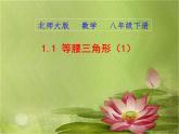 北师大版八年级数学下册 1.1 三角形全等和等腰三角形的性质(1)（课件）